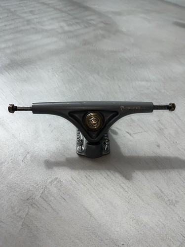 Bear grizzly model 01 - bear,
